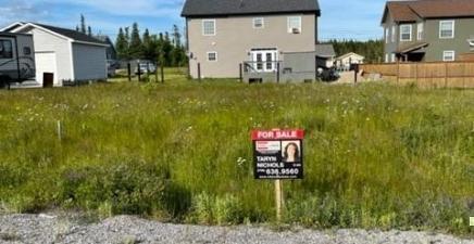 46 Grace Avenue, Deer Lake A8A0B6, Newfoundland & Labrador