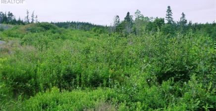 2-4 Snows Pond Road, North River A0A3C0, Newfoundland & Labrador