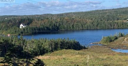 LOT 4 Halleran Trail, Brigus Junction A0B1G0, Newfoundland & Labrador