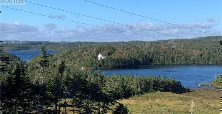 Lot 29 Halleran Trail, Brigus Junction A0B1G0, Newfoundland & Labrador
