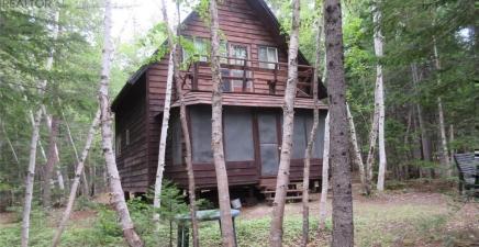 Lot 3-4 Kona Beach River Road, South Brook A0J1S0, Newfoundland & Labrador