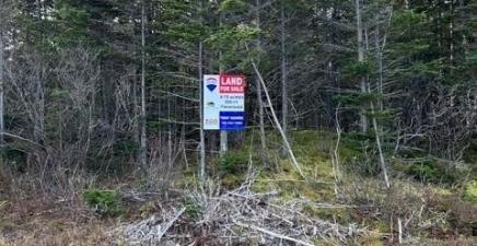 59-77 Main Road, Hearts Content A0B1Z0, Newfoundland & Labrador