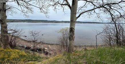 38-40 Sacrey`s Road, Botwood A0H1E0, Newfoundland & Labrador