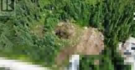 8A Sandy Stream Road, Howley A0K3E0, Newfoundland & Labrador