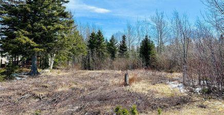 56 Pleasantview Road, Point Leamington , Newfoundland & Labrador