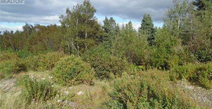 57A Legion Road, Port Blandford A0C2G0, Newfoundland & Labrador