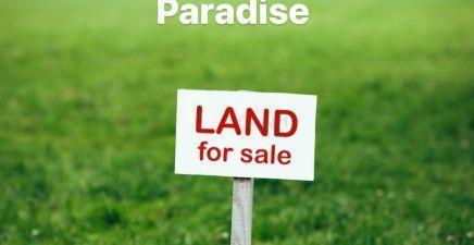 1964-1968 Topsail Road, Paradise A1L3W3, Newfoundland & Labrador