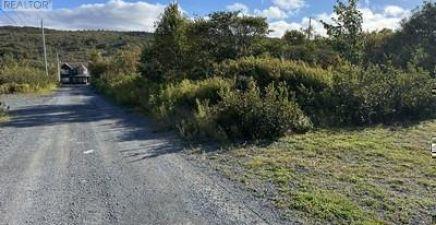 16 Penney`s Avenue, Salmon Cove A0A3S0, Newfoundland & Labrador