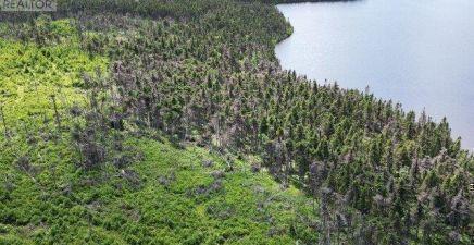 1 Peytons Pond, Pouch Cove A0A3L0, Newfoundland & Labrador