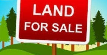 1-5 Park Avenue, Mount Pearl A1N1J1, Newfoundland & Labrador