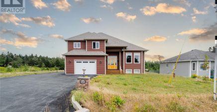 251 Back Line, St. John's A1S1A4, NL