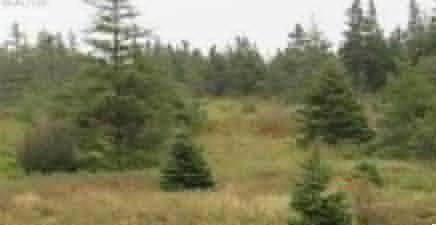 16 Old Road Extension, Colliers A0A1Y0, Newfoundland & Labrador