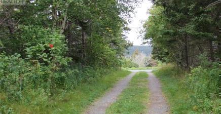 54 C Point Road Unit#C, Chapel`s Cove A0A1V0, Newfoundland & Labrador