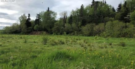 LOT#2-6 UPPER TRANQUIL WATERS Road, Reidville A8A1Z4, Newfoundland & Labrador