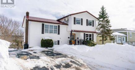 17 Mansfield Crescent, St. John's A1E5E6, NL