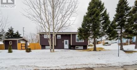 3 Ridgemount Street, St. John's A1S1B3, NL