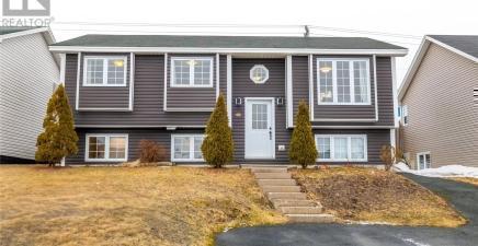 59 Brougham Drive, Paradise A1L0C8, NL