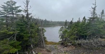Lot 31 Prison Camp Road, Tommy Penney 7th Pond, Salmonier Line A1A1A1, NL