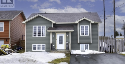 7 Bawnmoor Street, St. John's A1G1P1, NL