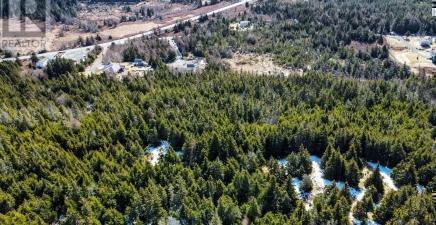 8 Barrys Island Road N, Avondale A0A1B0, Newfoundland & Labrador