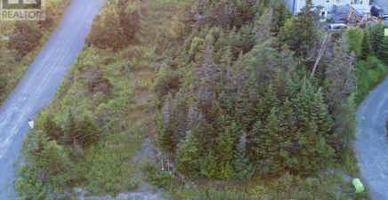 638 Indian Meal Line, Portugal Cove - St. Philips A1M3E7, Newfoundland & Labrador