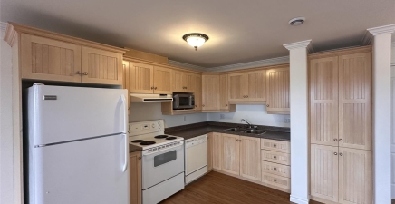 153 Patrick Street Unit#302, St. John's A1C6B9, NL