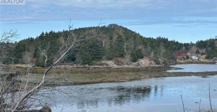 12-16 Back Cove Road, Avondale A0A1B0, Newfoundland & Labrador