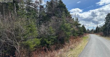 25-47 Barry`s Island North, Avondale A0A1B0, Newfoundland & Labrador