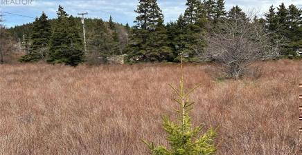 178-208 Conception Bay Highway, Avondale A0A1B0, Newfoundland & Labrador