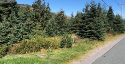 135 - 137 Seaforest Drive, Cupids A0A2B0, Newfoundland & Labrador