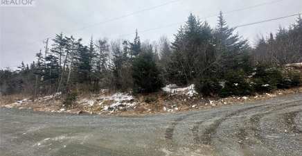 100 South Side Road, North Harbour A0E2N0, Newfoundland & Labrador