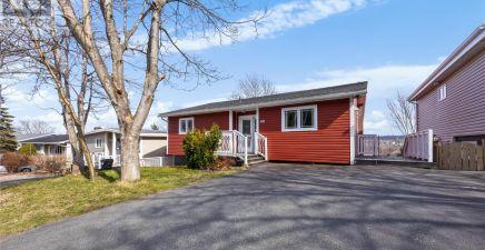 88 Larkhall Street, St. John’s A1B2C6, NL