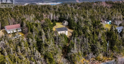 212 Governor Road, Middle Gull Pond A0B1G0, NL