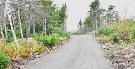 Lot 3 Second Pond Road, Shearstown / Butlerville A0A1G0, Newfoundland & Labrador