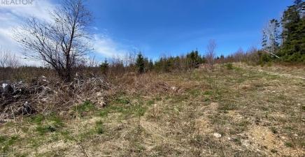 15 Brakes Lane, Meadows A2H6B9, Newfoundland & Labrador