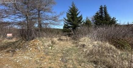 94 -100 Rattle`s Road, Victoria A0A4G0, Newfoundland & Labrador
