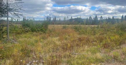 136333 Peter`s Pond, Botwood A0H1E0, Newfoundland & Labrador