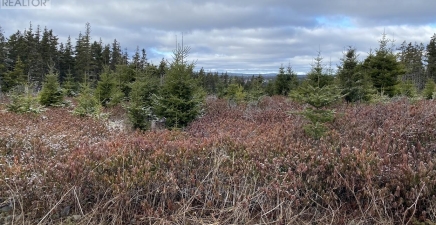 41 Old Cart Road, South River A0A3W0, Newfoundland & Labrador