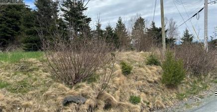 10 Power`s Lane, Marysvale A0A2Z0, Newfoundland & Labrador