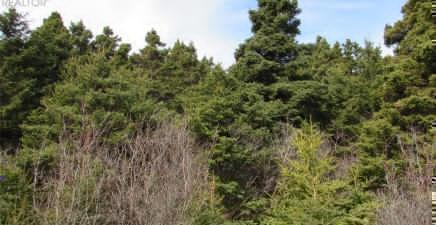 9 Cove Road, Colliers A0A1Y0, Newfoundland & Labrador