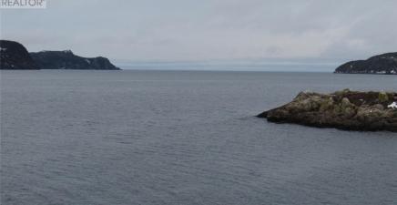 43 Cove Road, Colliers A0A1Y0, Newfoundland & Labrador