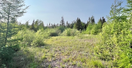 437 Main Street, Northern Arm A0H1E0, Newfoundland & Labrador