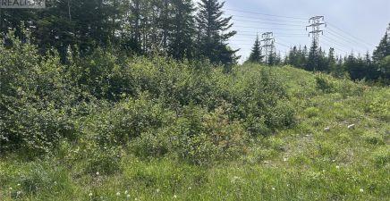 196 Massey Drive, Massey Drive A2H7A2, Newfoundland & Labrador