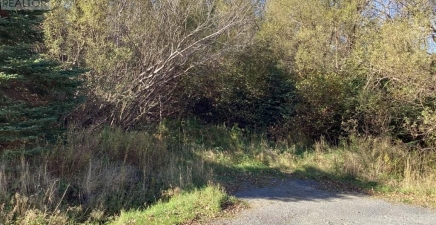 22-28 Parson`s Road, Harbour Grace A0A2N0, Newfoundland & Labrador