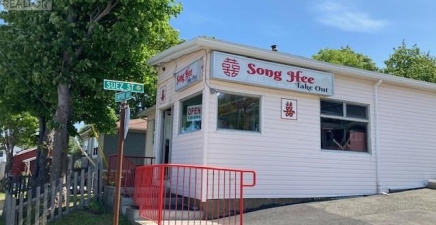 209 Empire Avenue, St. John`s A1A2H4, Newfoundland & Labrador