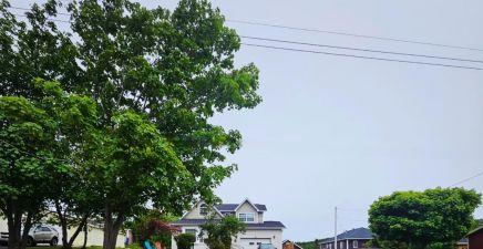 34 Chipmans Road, Spaniards Bay A0A3X0, Newfoundland & Labrador