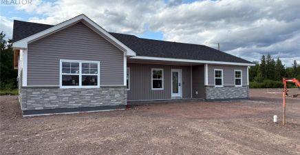 46 McDonald Crescent, Bishop`s Falls A0H1C0, Newfoundland & Labrador