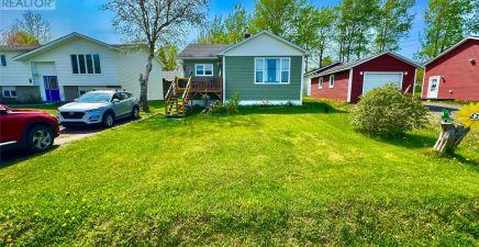 99 Main Street, Embree A0G2A0, Newfoundland & Labrador