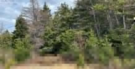 83-84 Conception Bay Highway, Colliers A0A1Y0, Newfoundland & Labrador