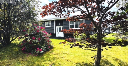 172 Springfield Road, South River A0A3W0, Newfoundland & Labrador